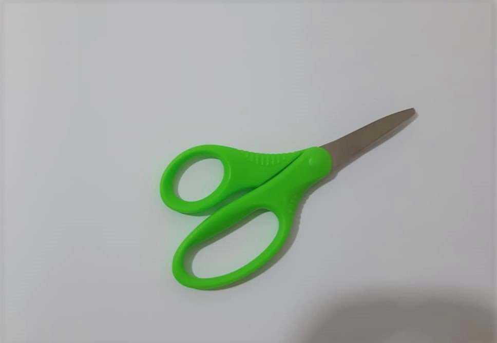 מספריים לימניים בלבד צילום: נועה גבאי