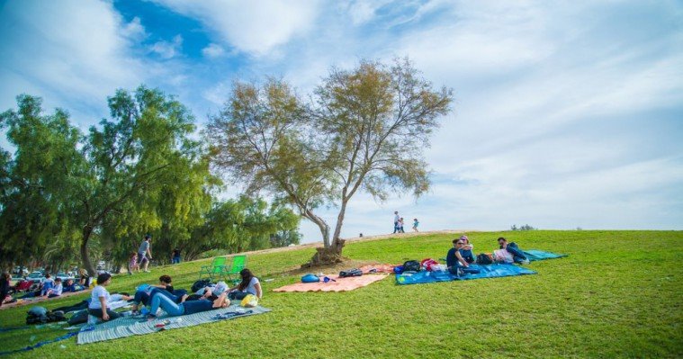 צילום מנו גרינשפן