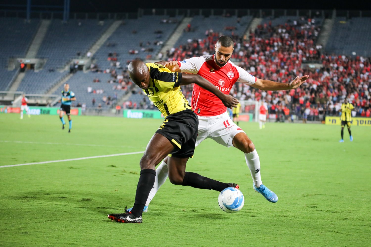 בקושי הורגש. ספורי | צילום: זאב דיקמן