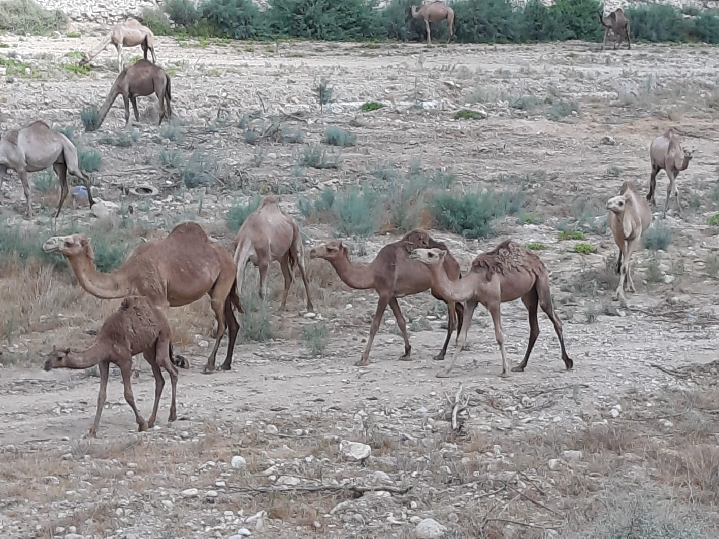 צילום: עופרה אבטבי 