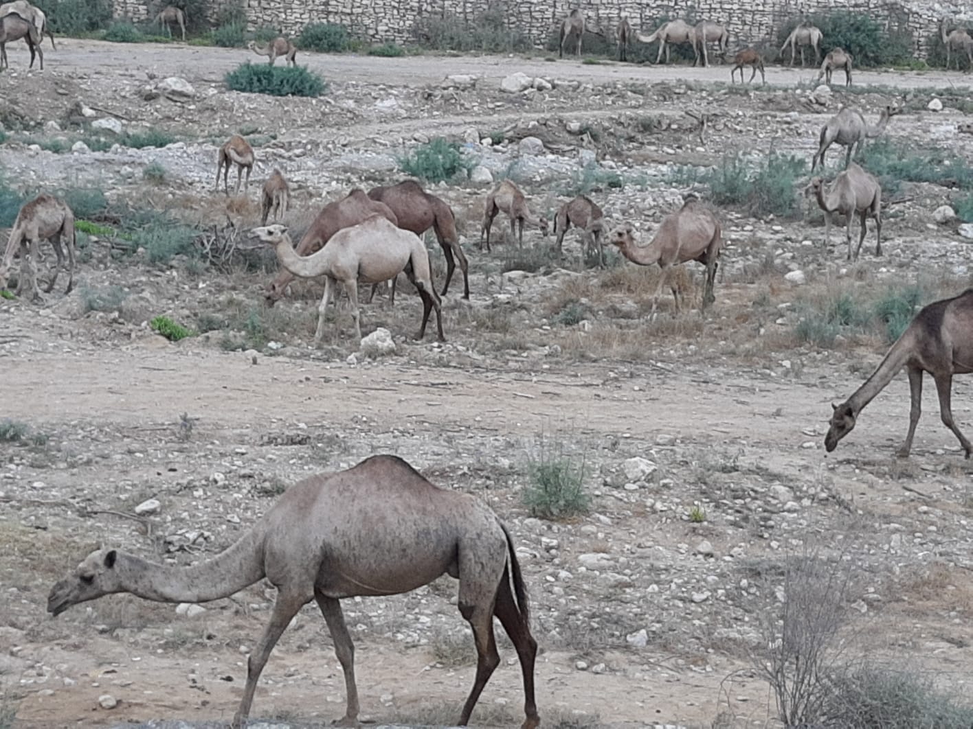 צילום: עופרה אבטבי 