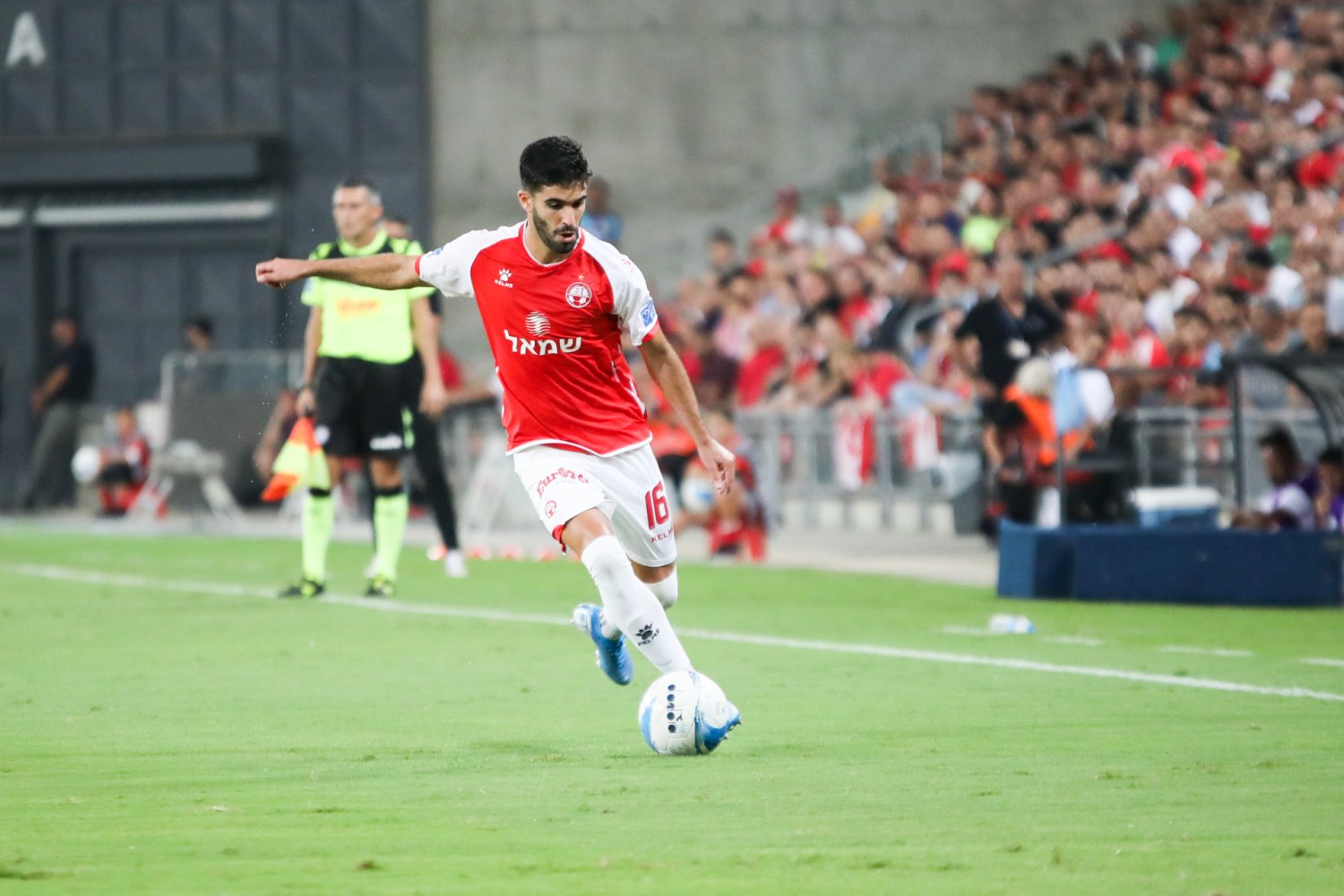 הצטיין עם שלושה בישולים. ביטון | צילום: זאב דיקמן