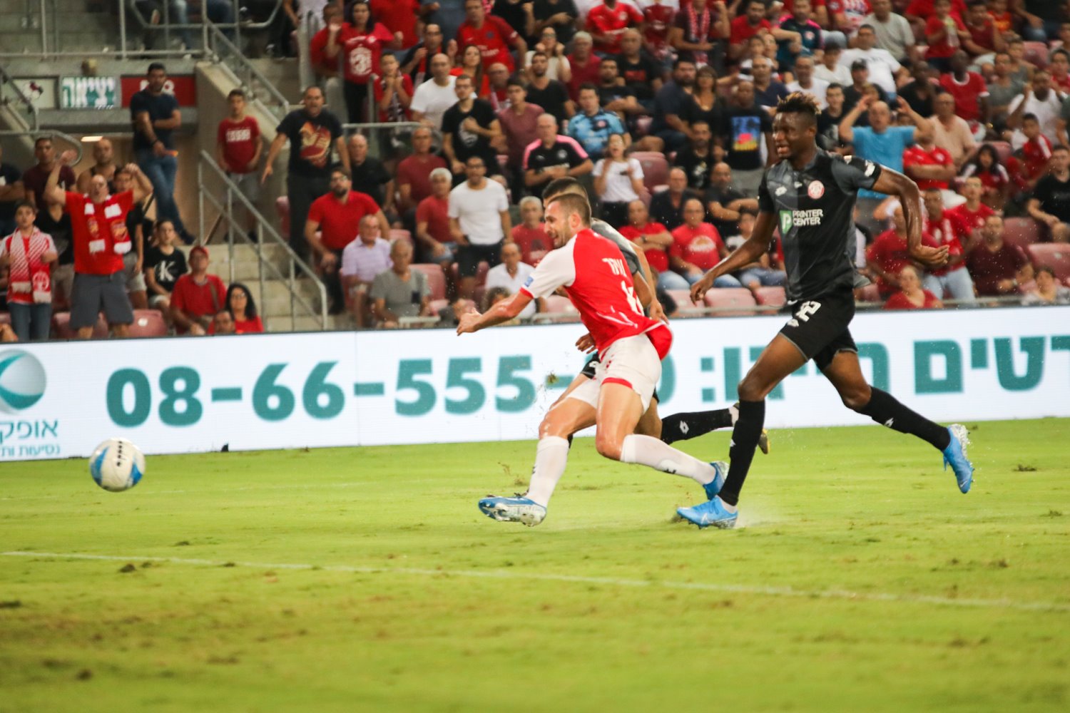 המון מצבים. אפס שערים. שהר | צילום: זאב דיקמן