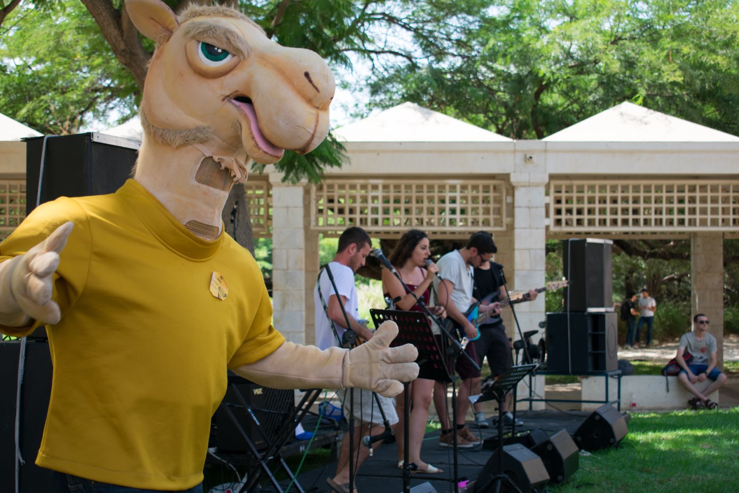 קרדיט דני מכליס וינאי אנקוה