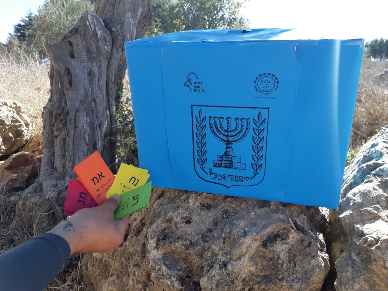 צילום רונית רוזן