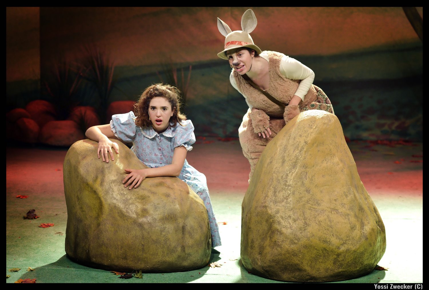 צילום: יוסי צבקר