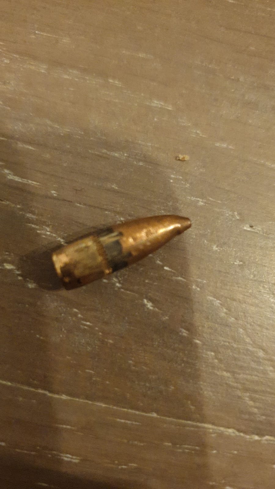 קליעים בחצרות הבתים | צילום: ניסים קיסילביץ'