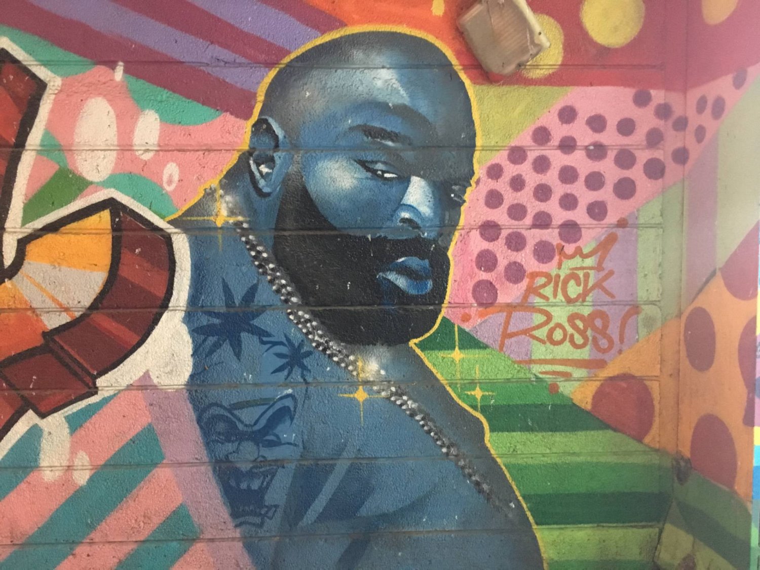 צילום שיר בהר