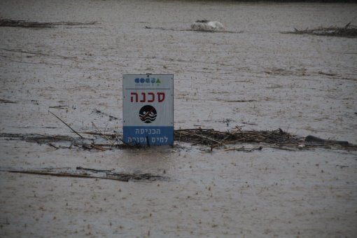 צילום שמואל סרדינס 