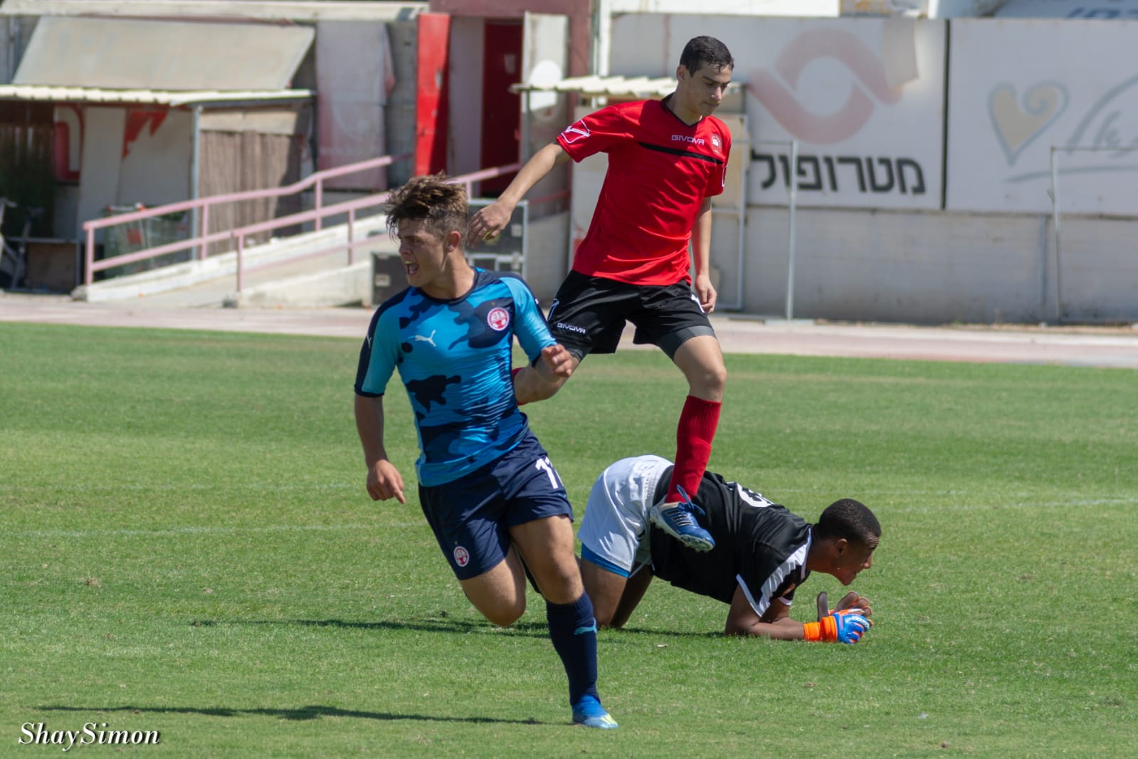 צילום: שי סימון