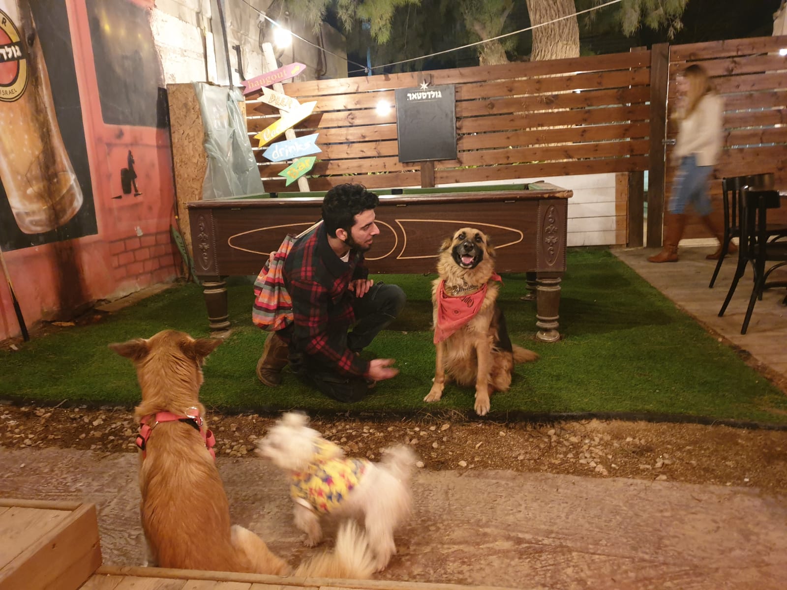 צילום: איליה יגורוב