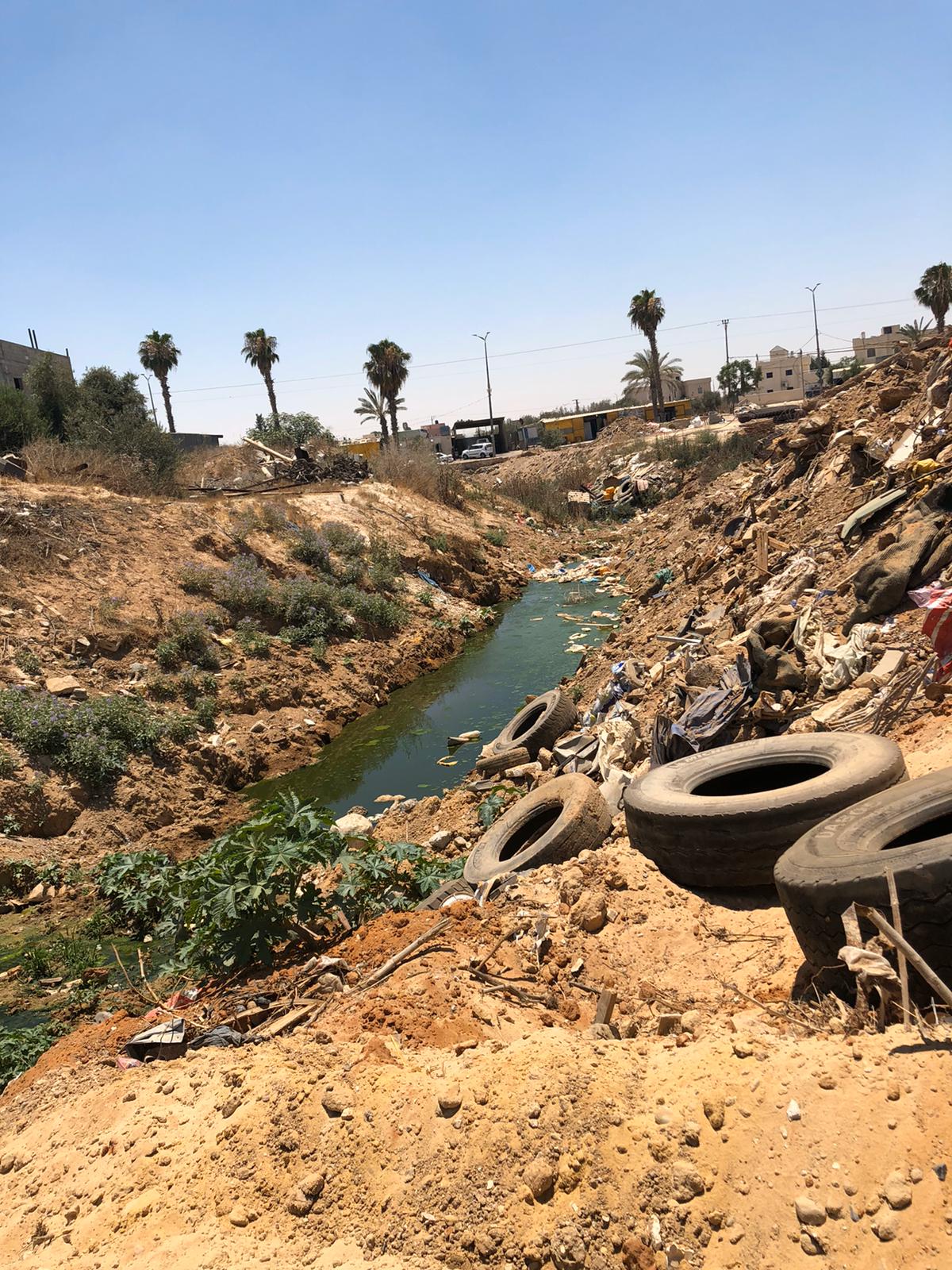 צילום באדיבות המשרד להגנת הסביבה 