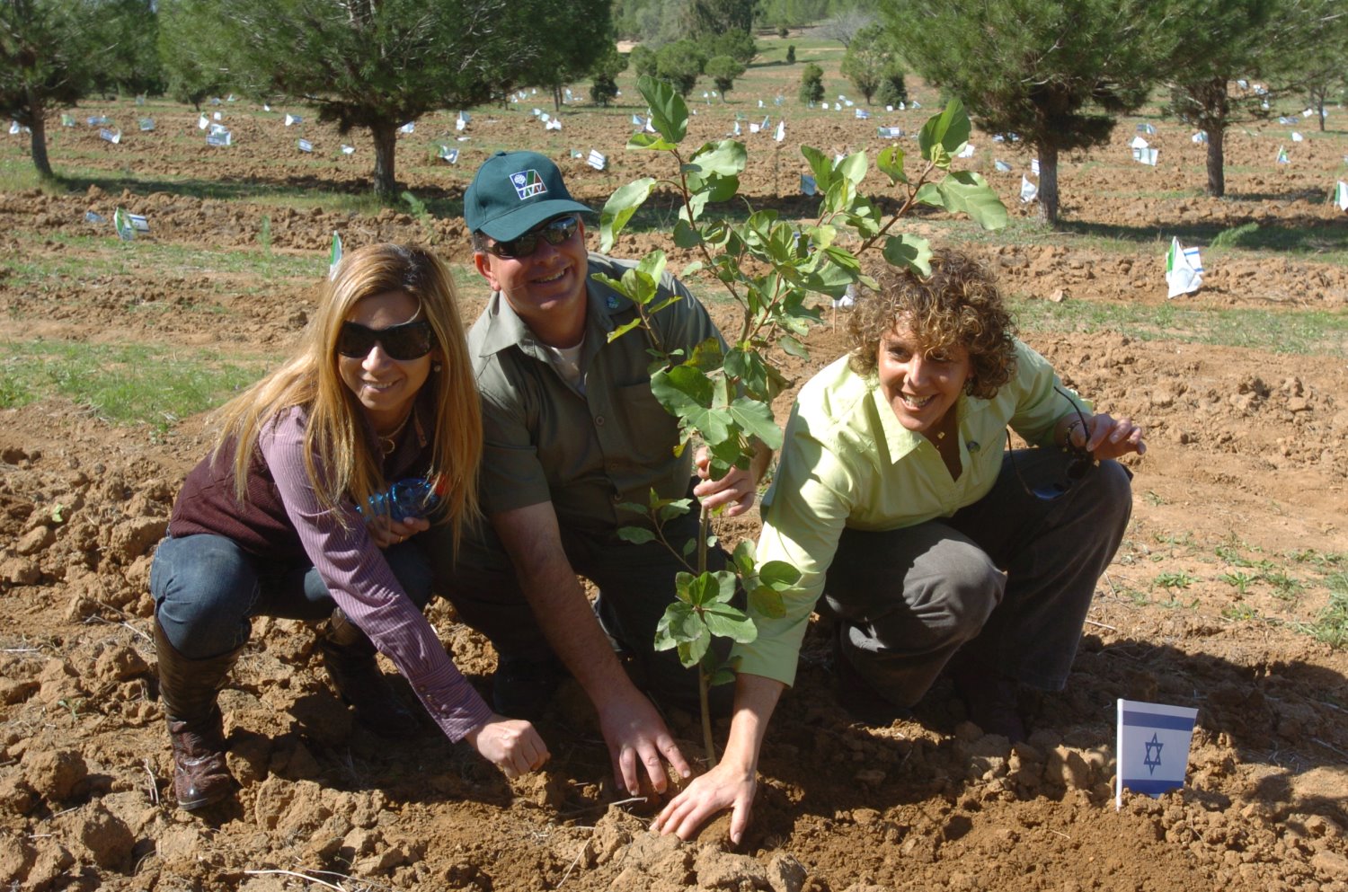 נטיעות צילום דוד גרינשפן 