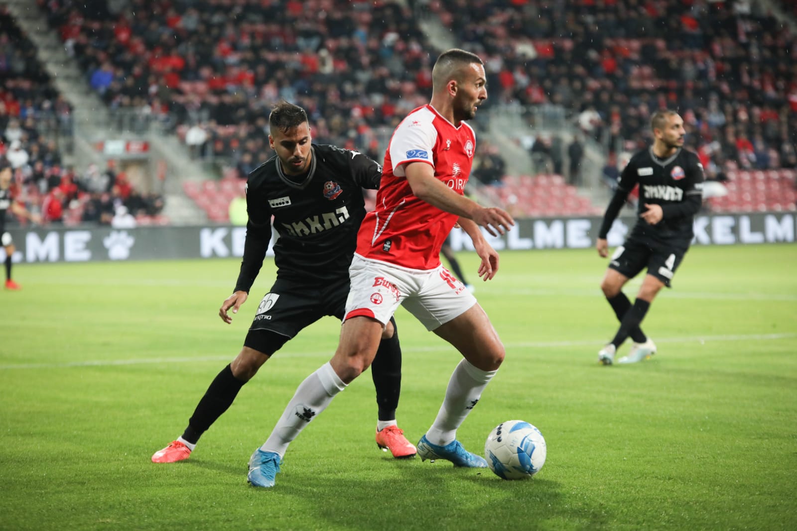 צילום: זאב דיקמן