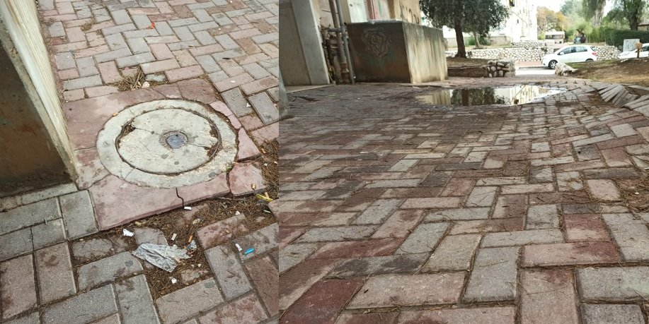 צילום: יהלי אוזן