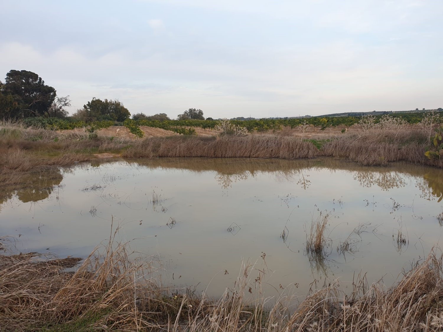 צילום טלילה ליפשיץ 