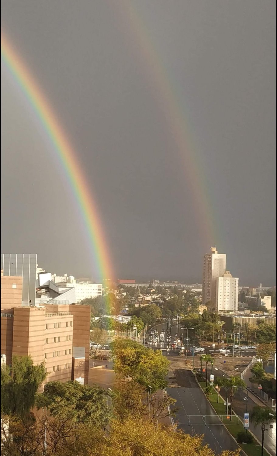 צילום: דורית מדמוני