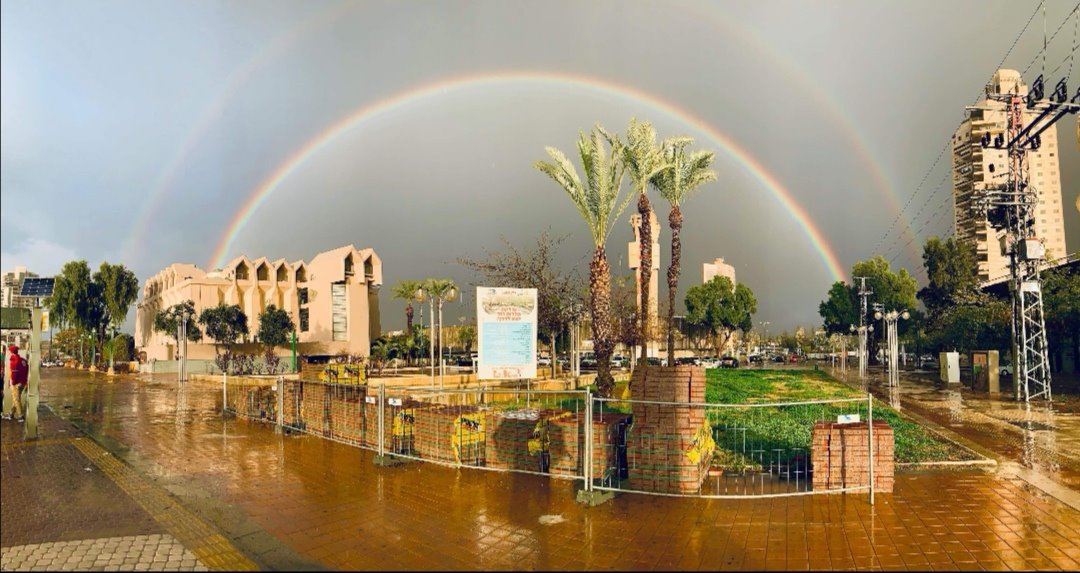 צילום: לינוי טובול