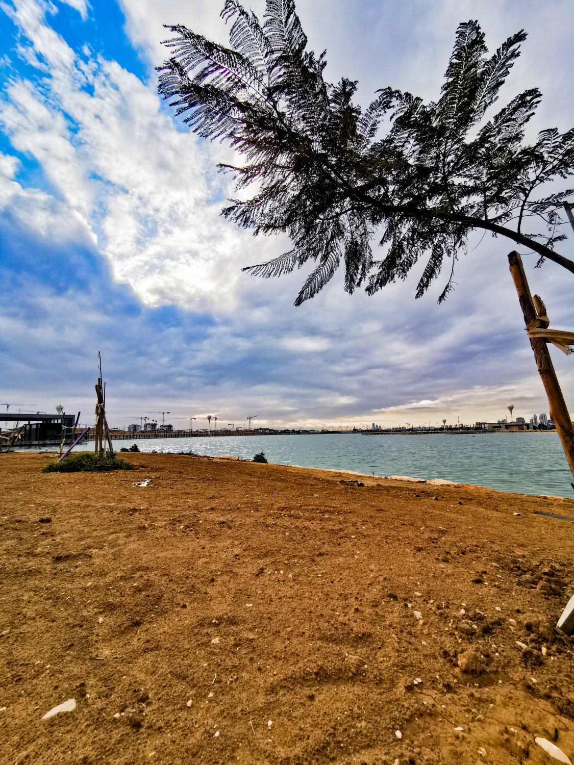 כן כן זאת באר שבע צילום: מור בינדר