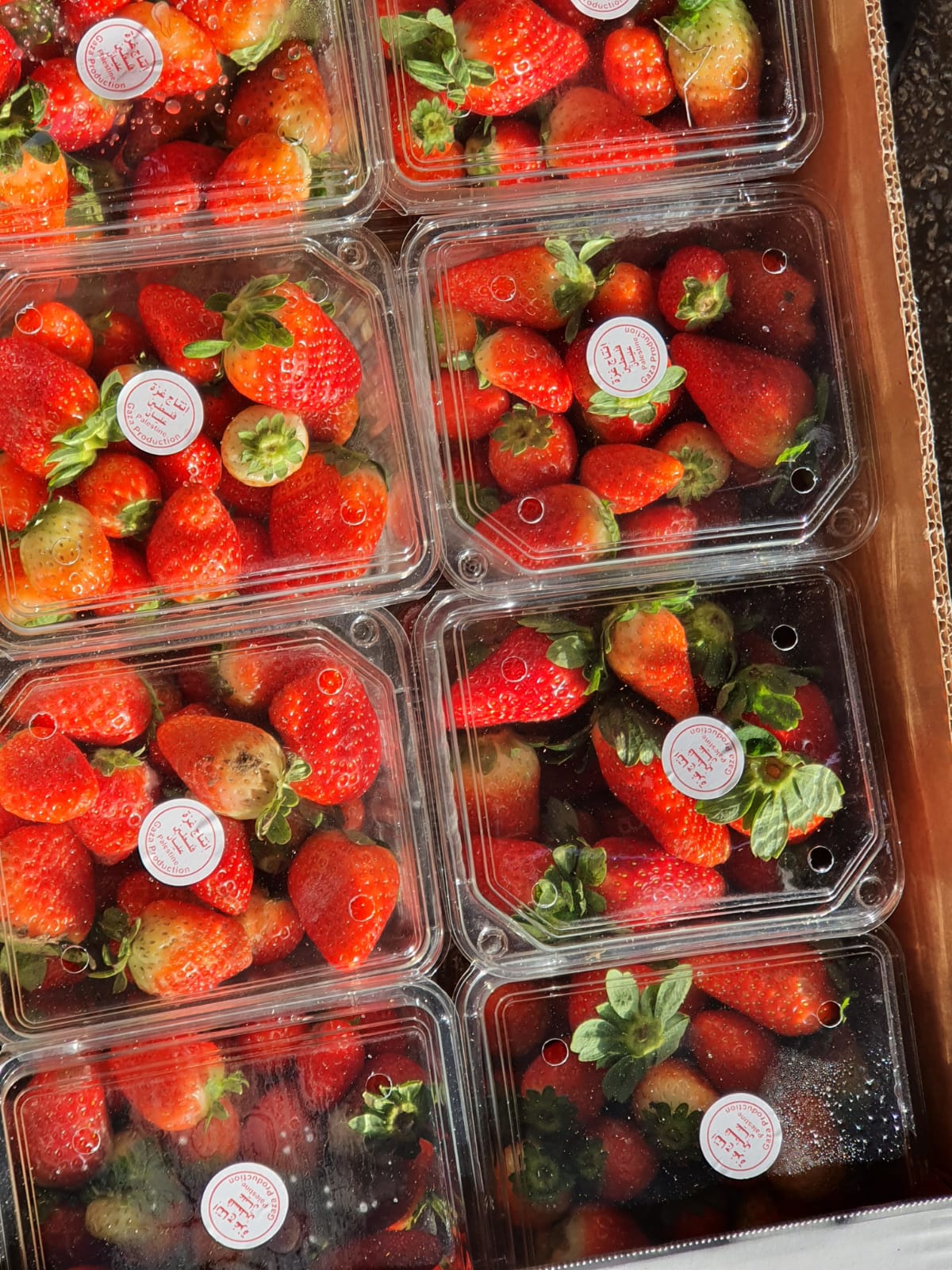 צילום באדיבות משטרת ישראל 