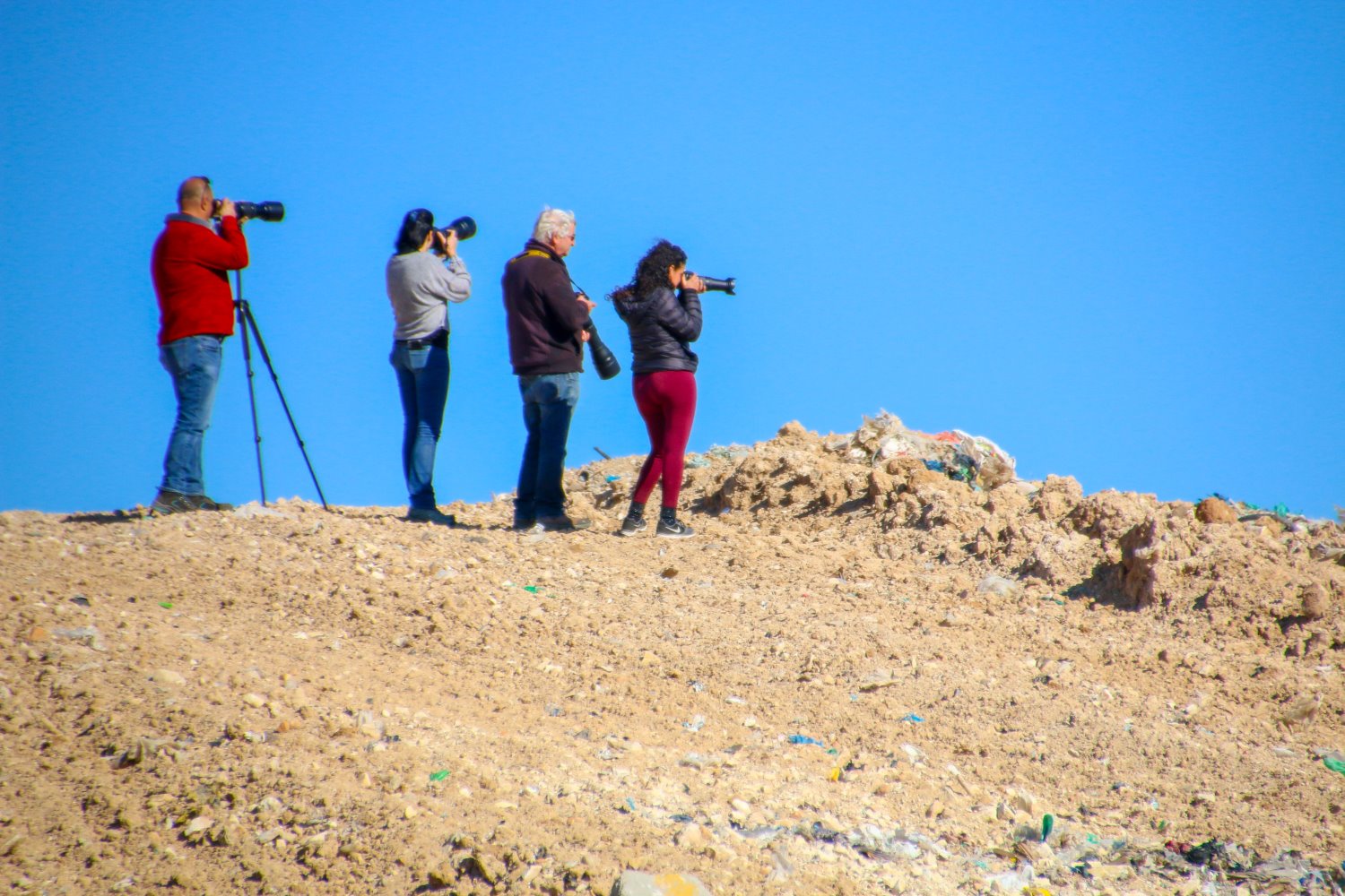 צילום: ליאה הורשהורן 