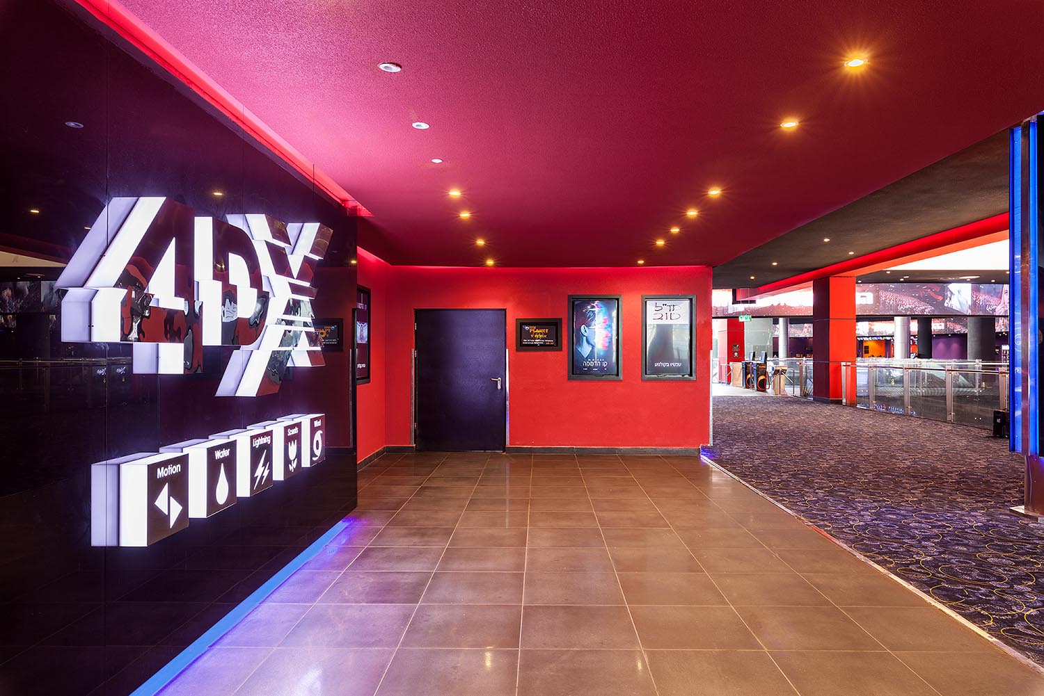 צילום אייל תגר