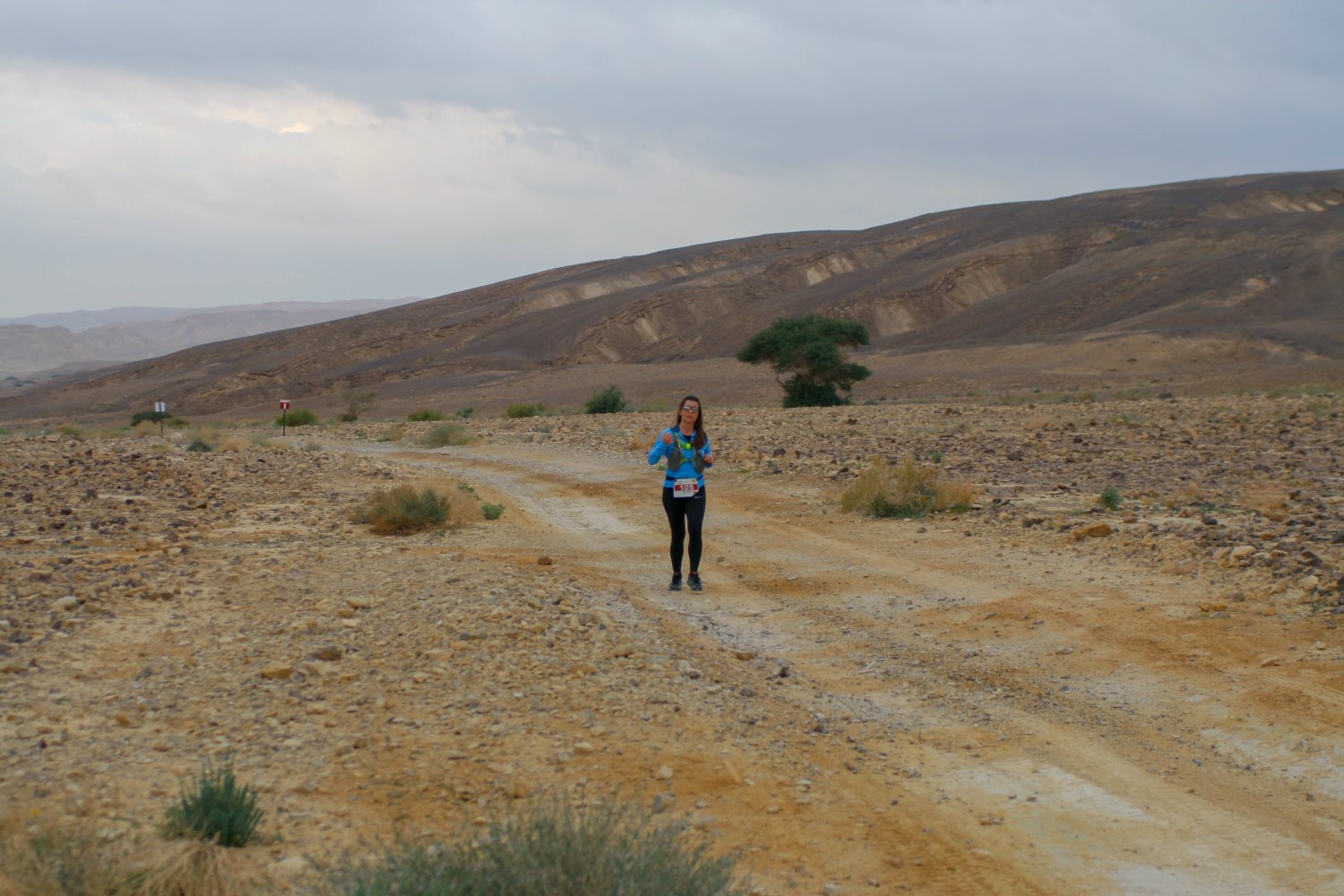 קרדיט: גל אברהם