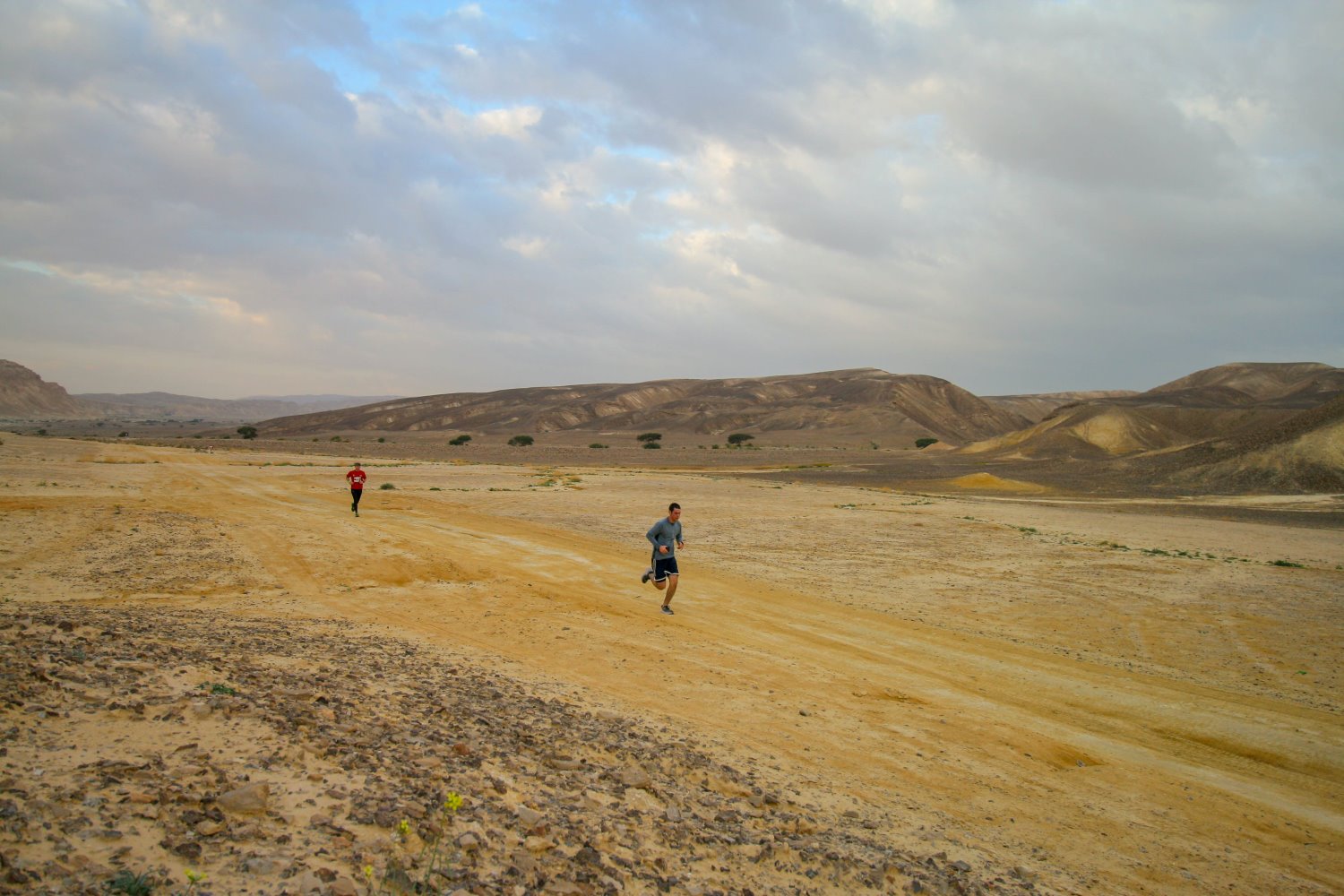 קרדיט: גל אברהם