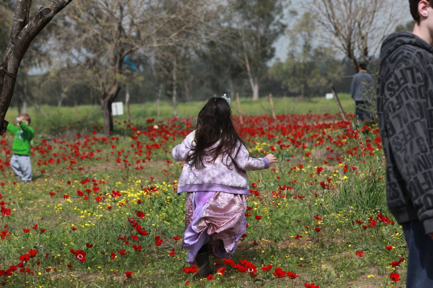קרדיט יוסי זמיר קק"ל