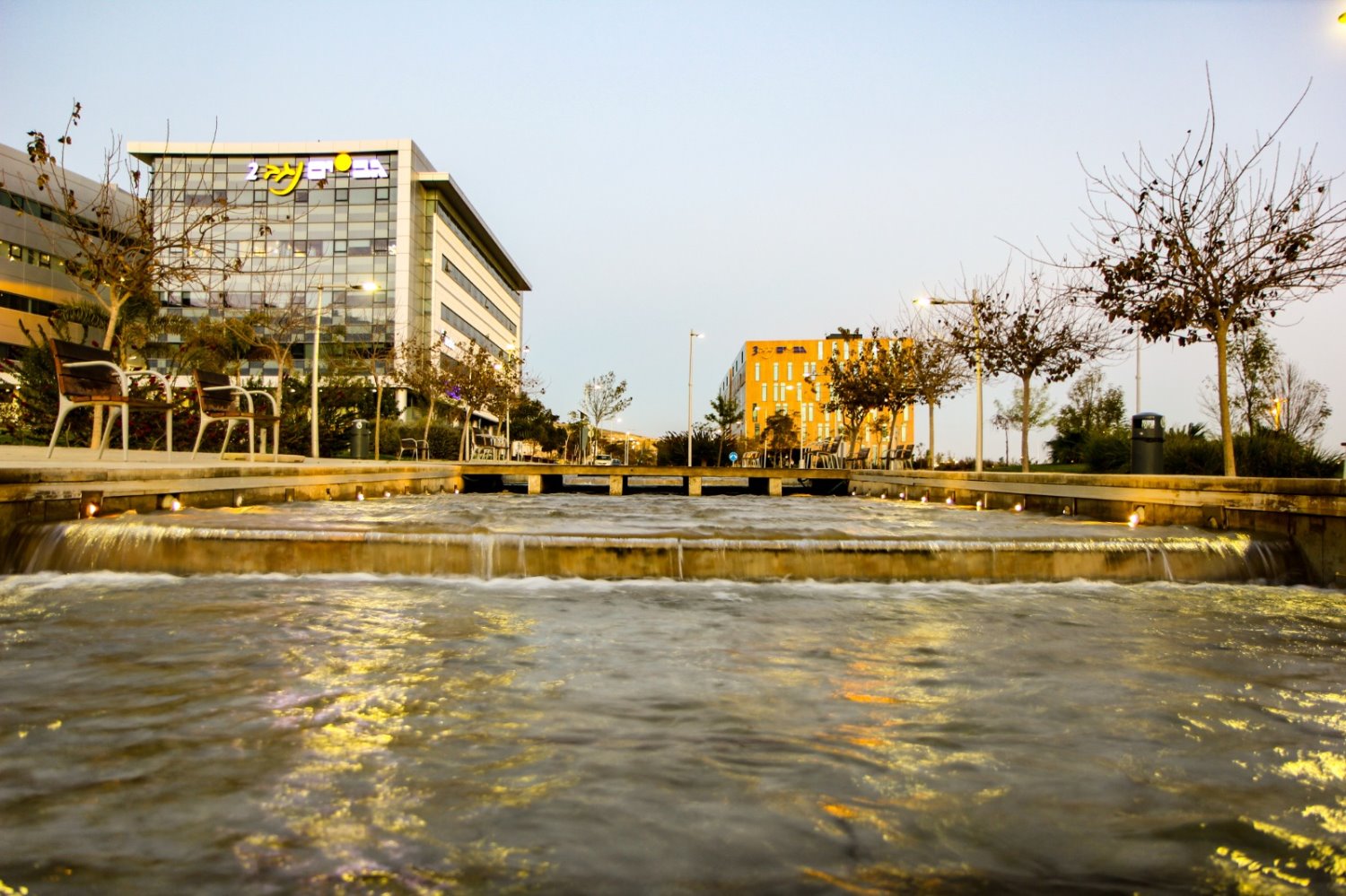 צילום: זאב דיקמן 