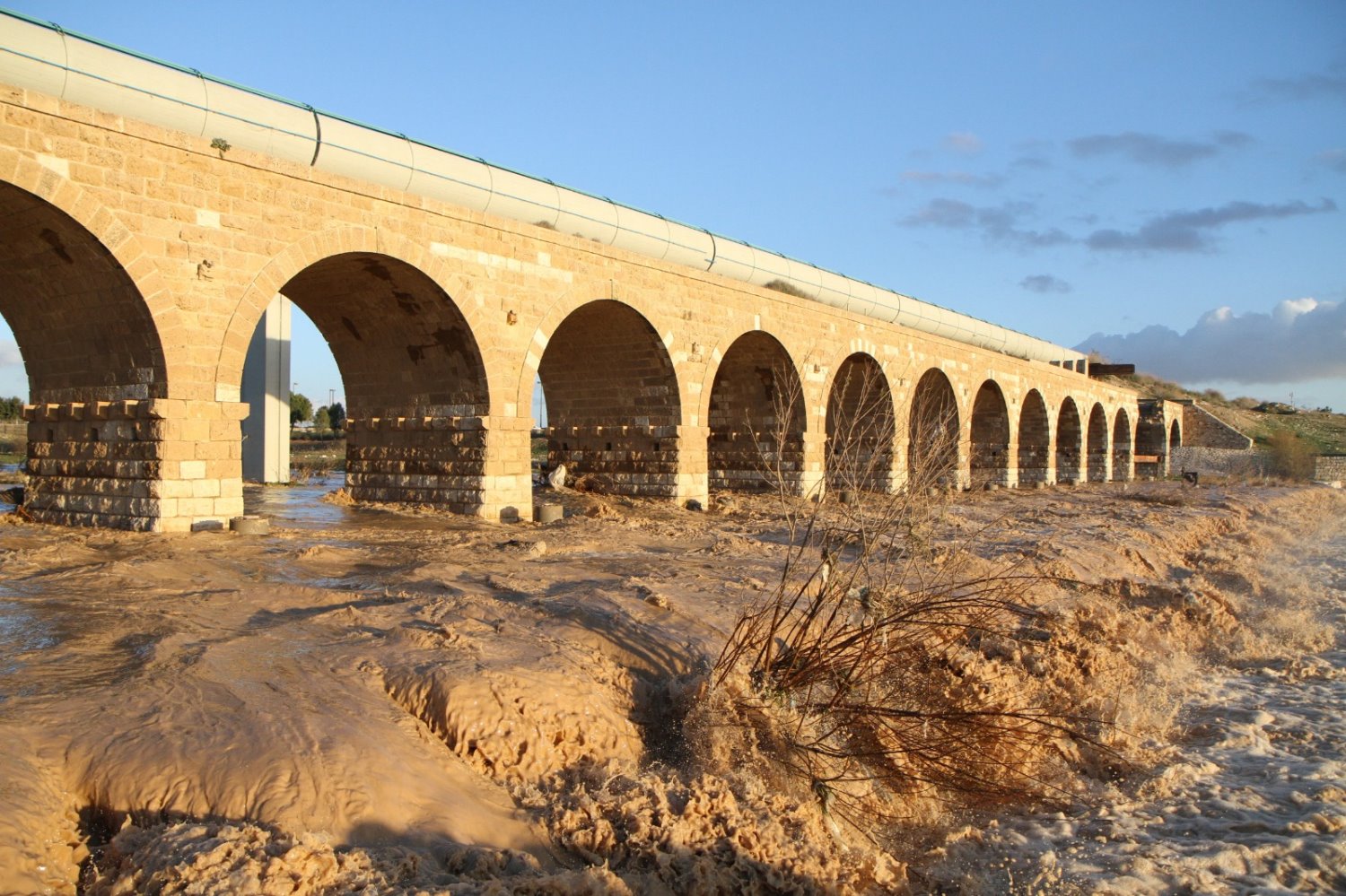 צילום: זאב דיקמן 