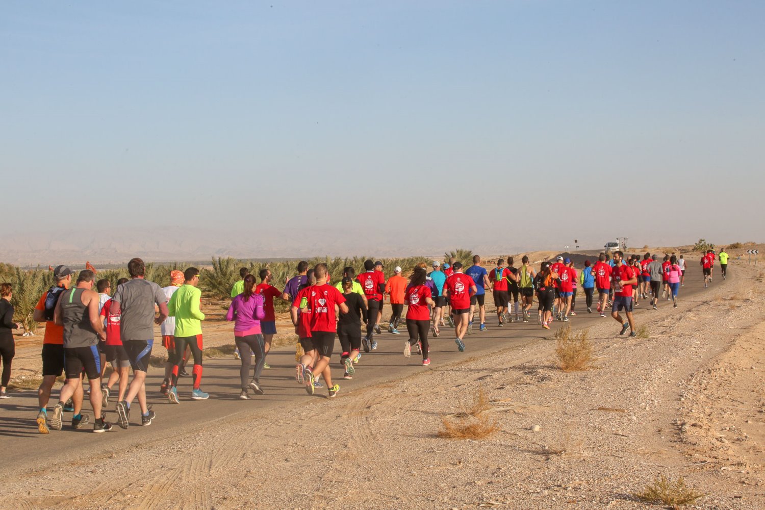 צילום: רונן טופלברג 
