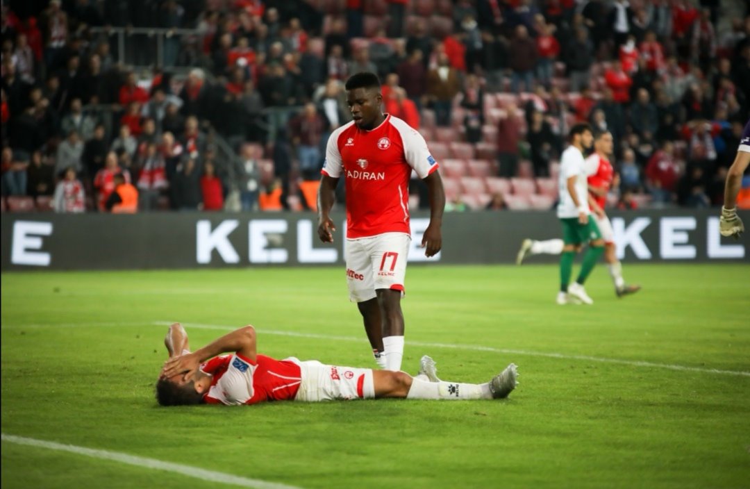 צילום: זאב דיקמן 