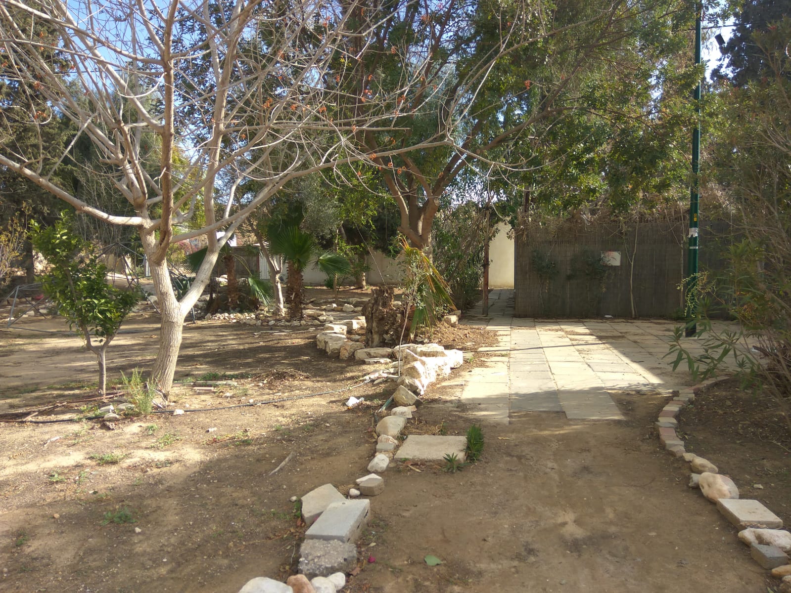 רחוב רינגלבלום. צילום מערכת באר שבע נט