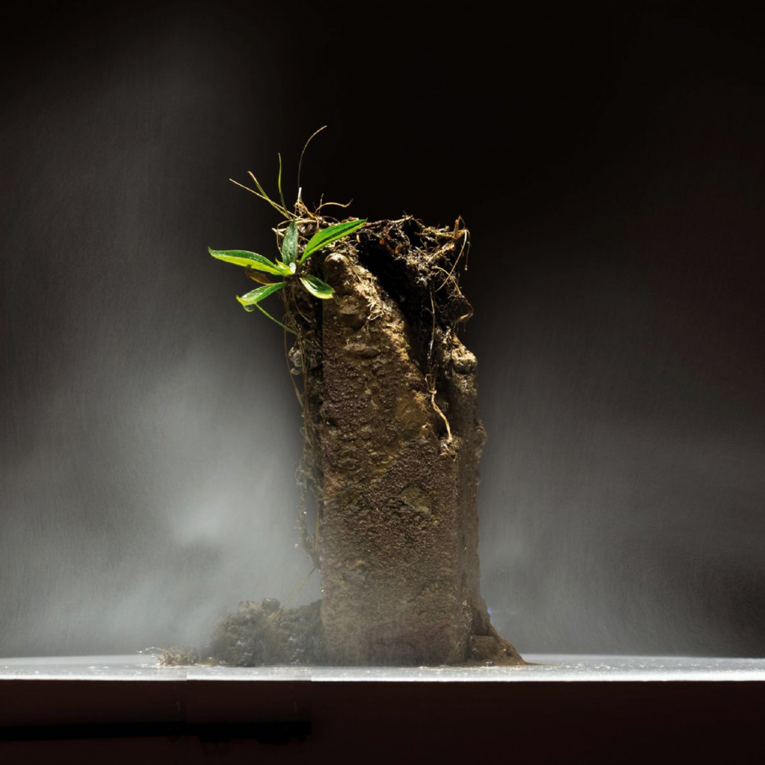 צילום אולגה קיסלבה