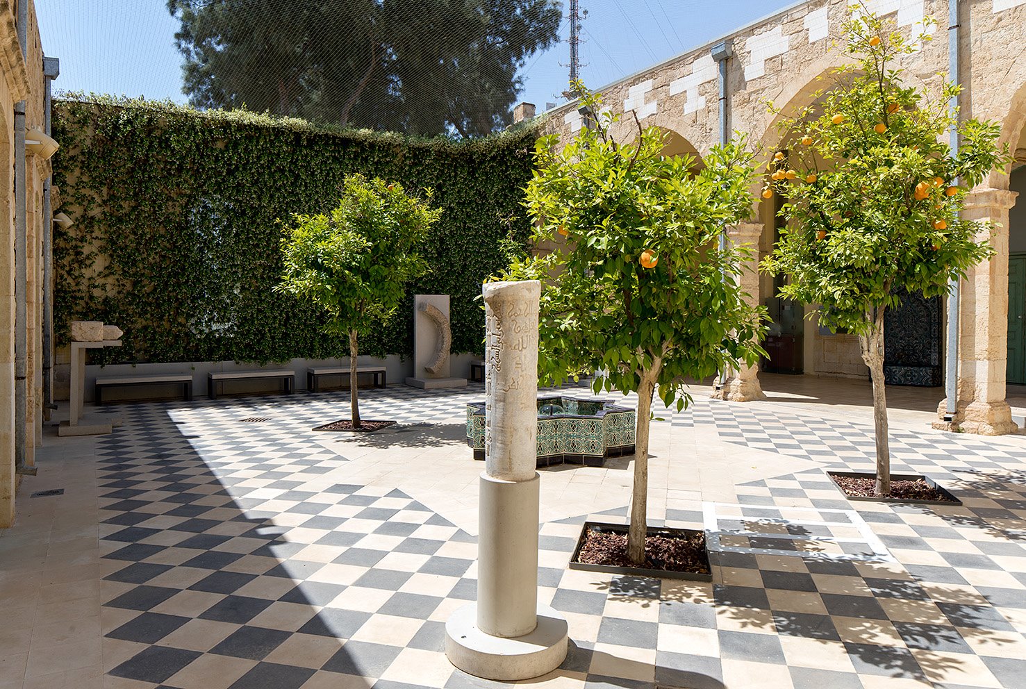 צילום: אלעד שריג 