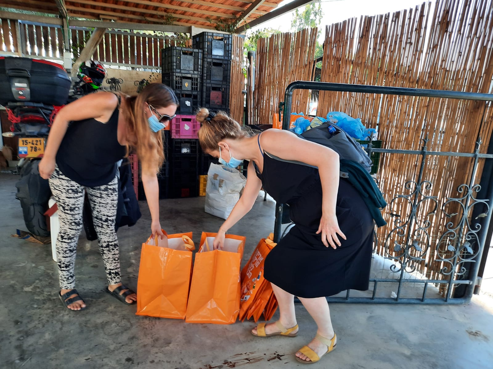 קרדיט: מיכל פרץ 'ציפור מדבר'