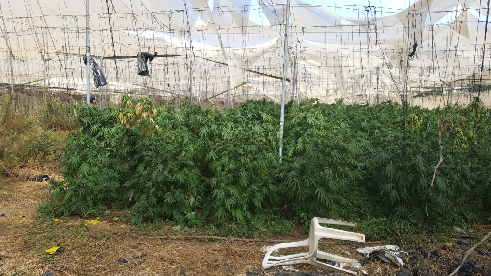 תמונה לא נבחרה