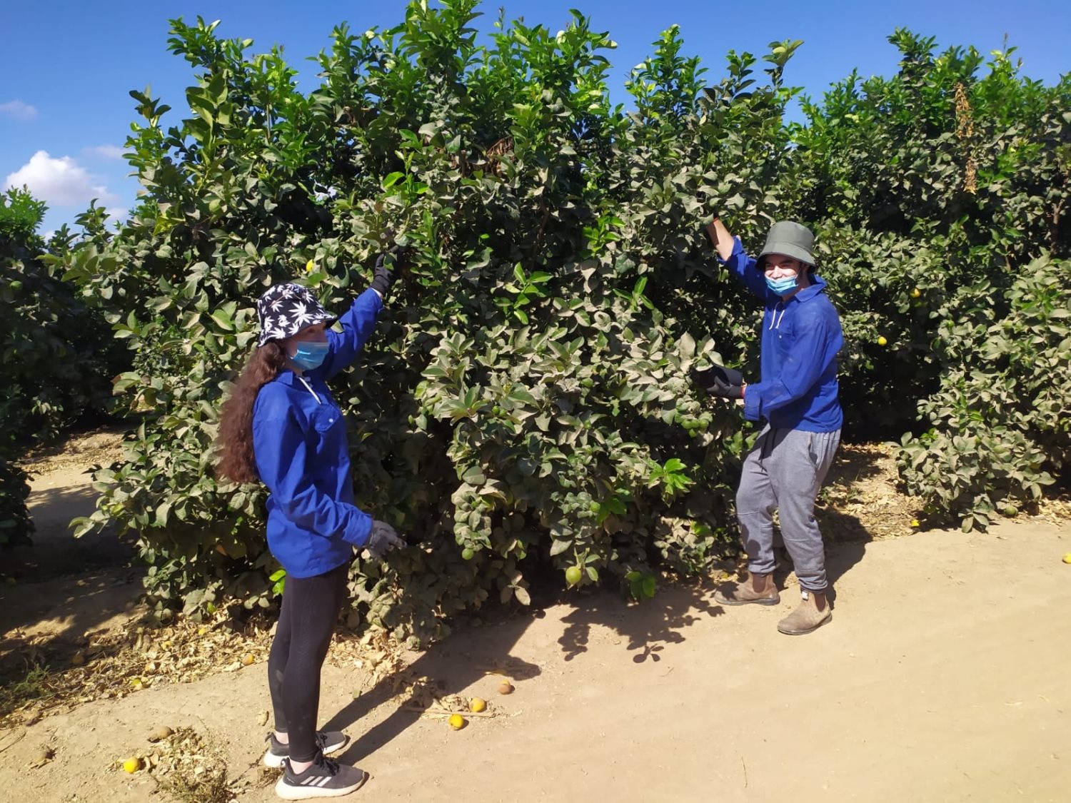 צילום: מועצה אזורית בני שמעון