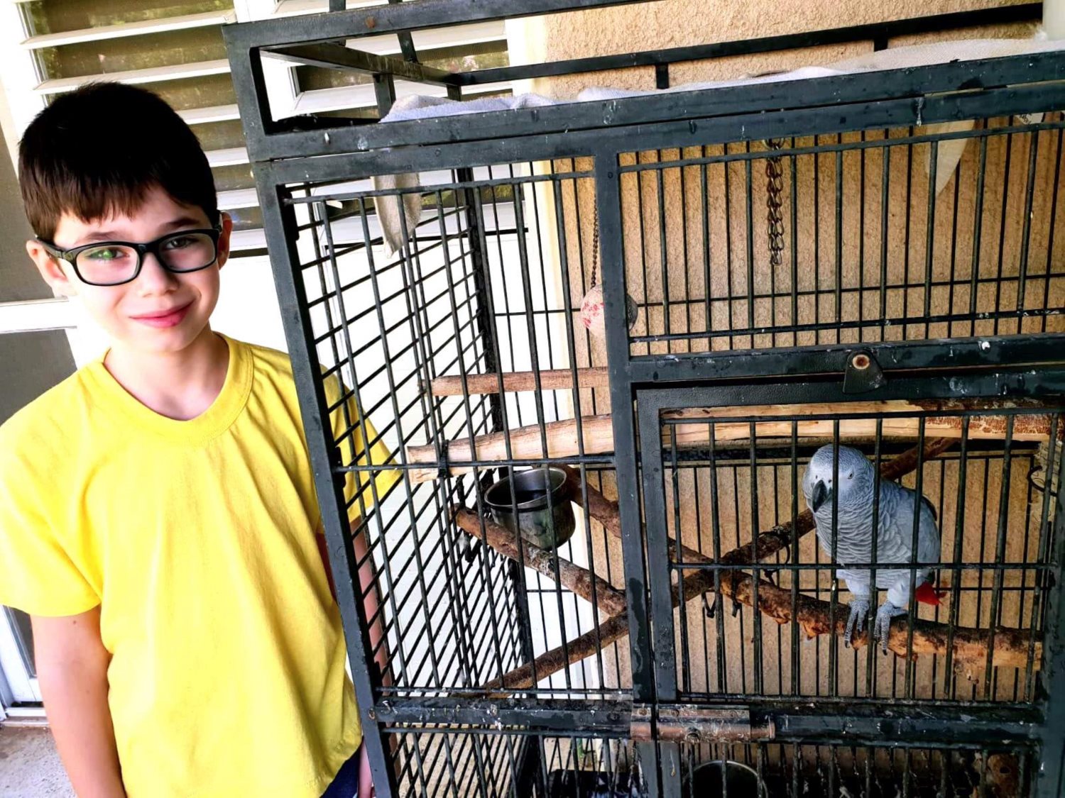 שיעור בזום עם חיות מחמד- בית הספר היסודי שיטים בערבה התיכונה