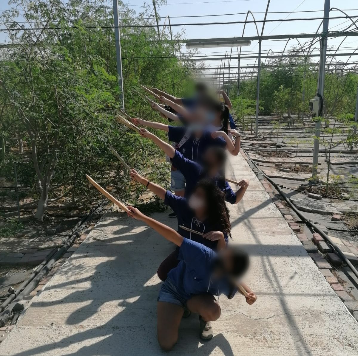 צילום אווה קוגל