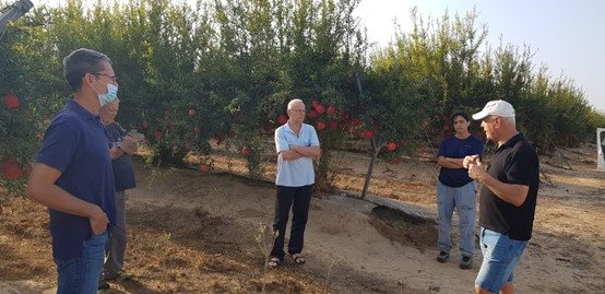 אינגב בגדש שקמה | צילום: באדיבות innegev