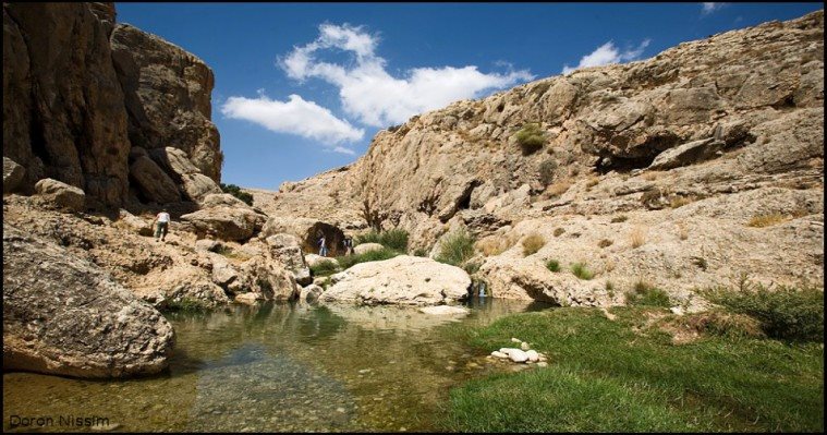 צילום דורון ניסים