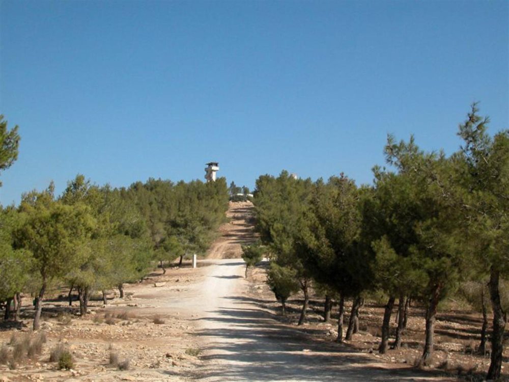 יער להב- קרדיט יעקב שקולניק ארכיון קק"ל