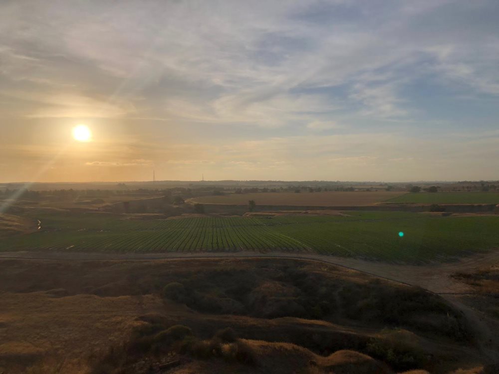 צילום: שניה הדר