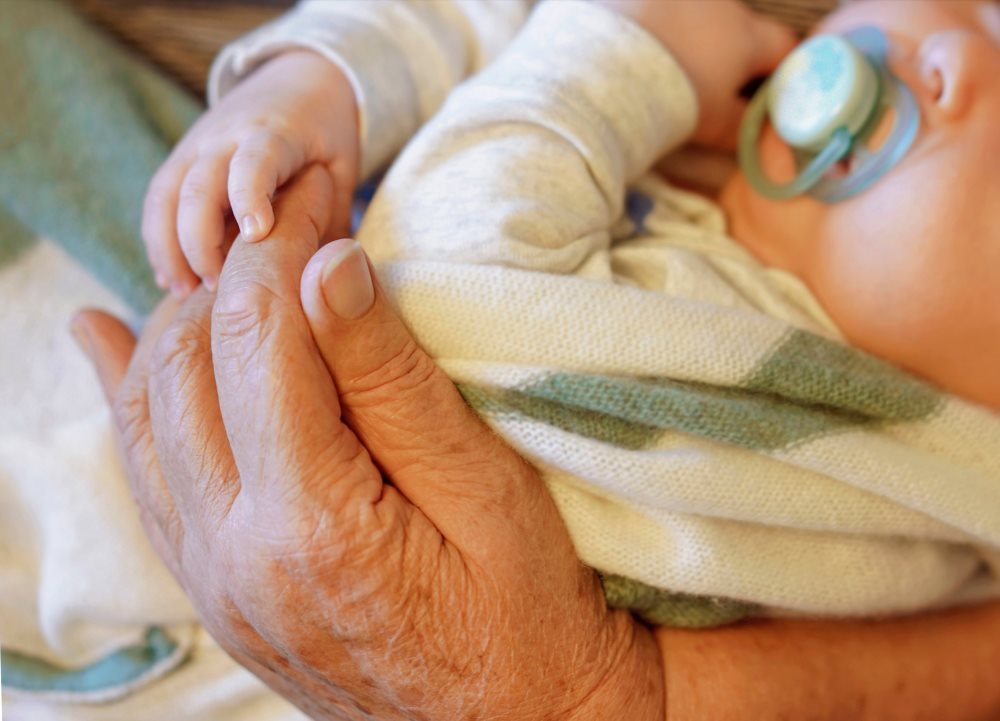 צילום: shutterstock אילוסטרציה