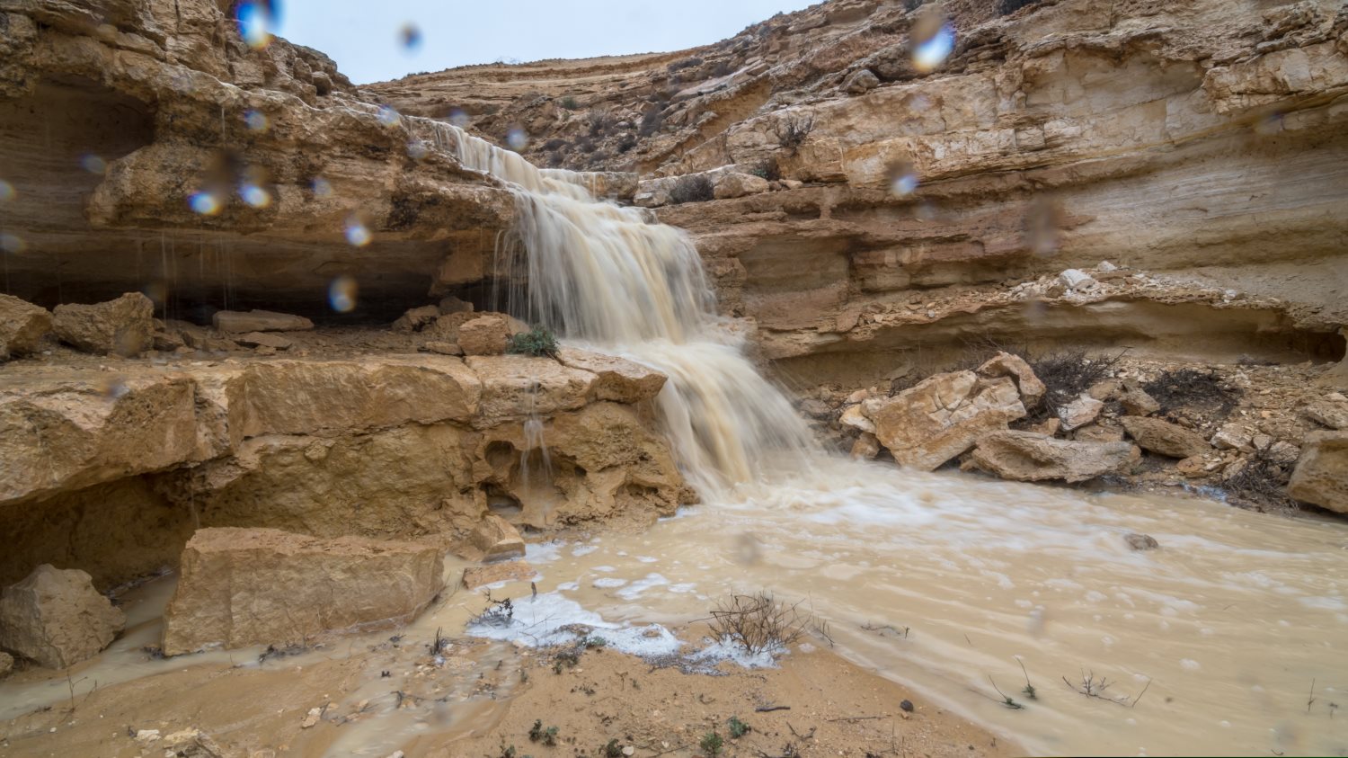 צילום: shutterstock אילוסטרציה