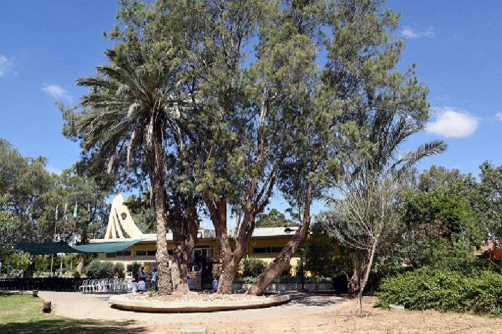 משתלת גילת. קרדיט דודו גרינשפן וקק"ל