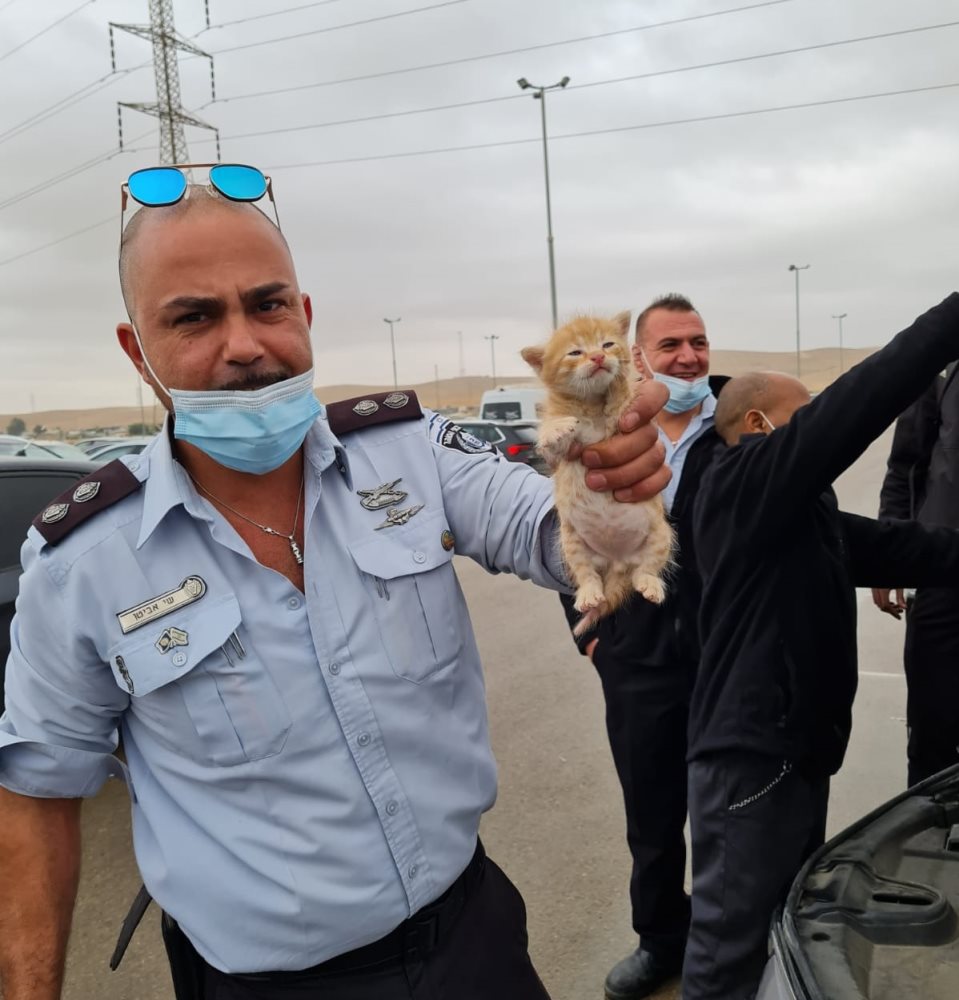 קרדיט דוברות שב"ס