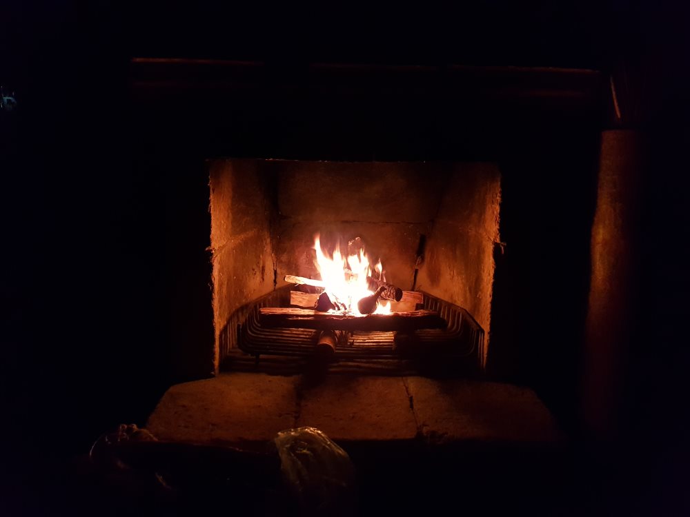 צילום: shutterstock אילוסטרציה